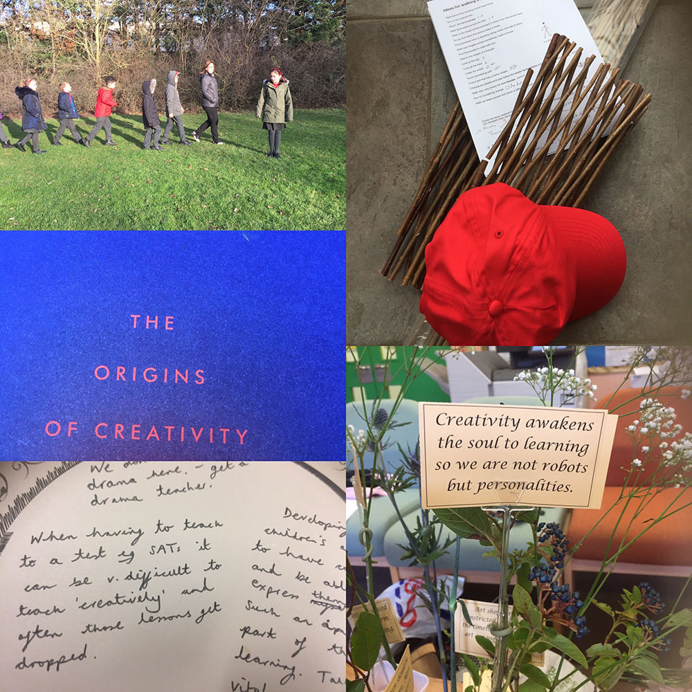 Creative foraging, fortune cookies, and using rhizomes as a metaphor ...