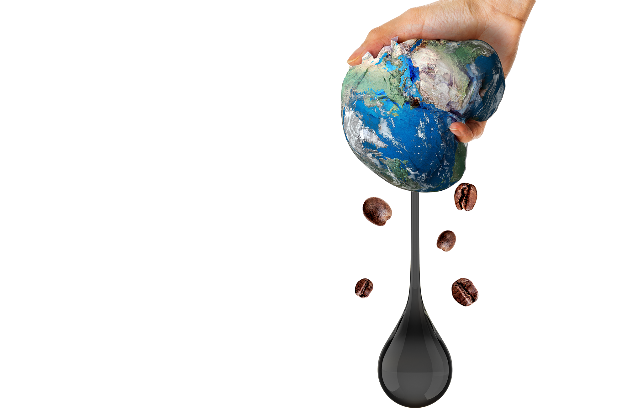 Colonialism & the environment – new KS3 resource | A New Direction